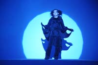 DSC_8454